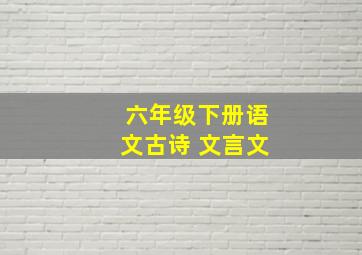 六年级下册语文古诗 文言文